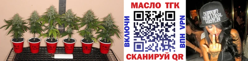 мега вход  Полярный  Дистиллят ТГК концентрат 